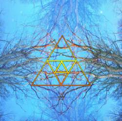 Oaks Of Bethel : Orange Triad